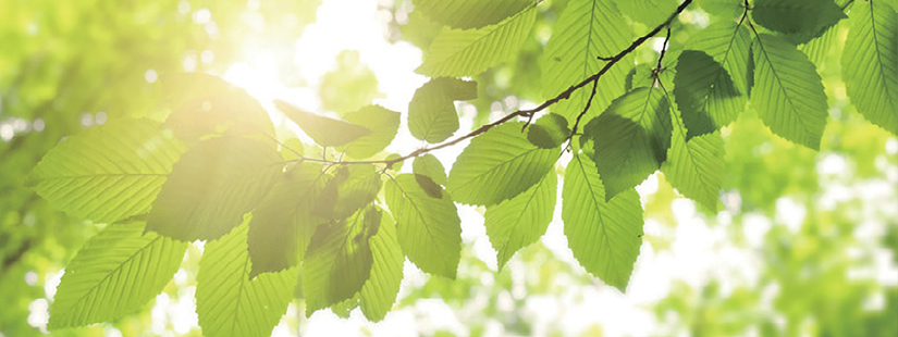 ISO14001 环境管理体系认证